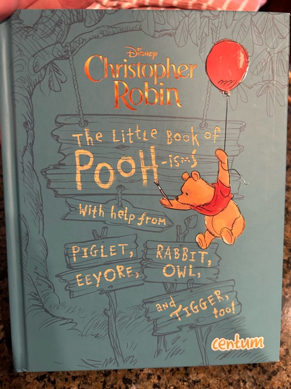 Winnie the Pooh hardcover gift book- little book of wisdom Pooh-isms!